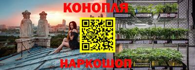 гашик Кунгур